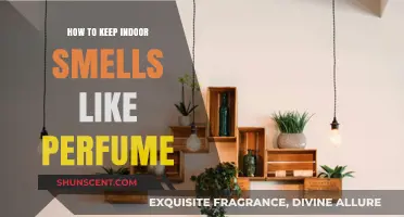Fresh Scents: Keeping Your Home Fragrant