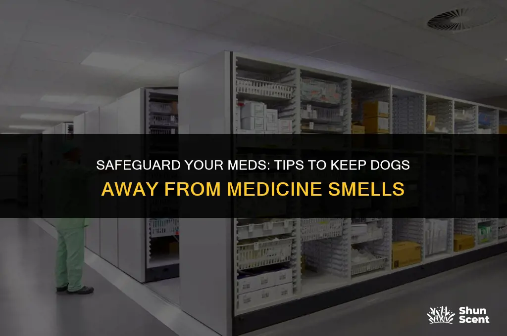 how to keep medicine from dogs smelling it