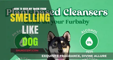 Freshen Up Your Space: Tips to Eliminate Dog Odor in Your Room