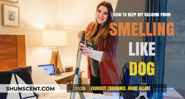 Freshen Up Your Vacuum: Tips to Eliminate Dog Odors