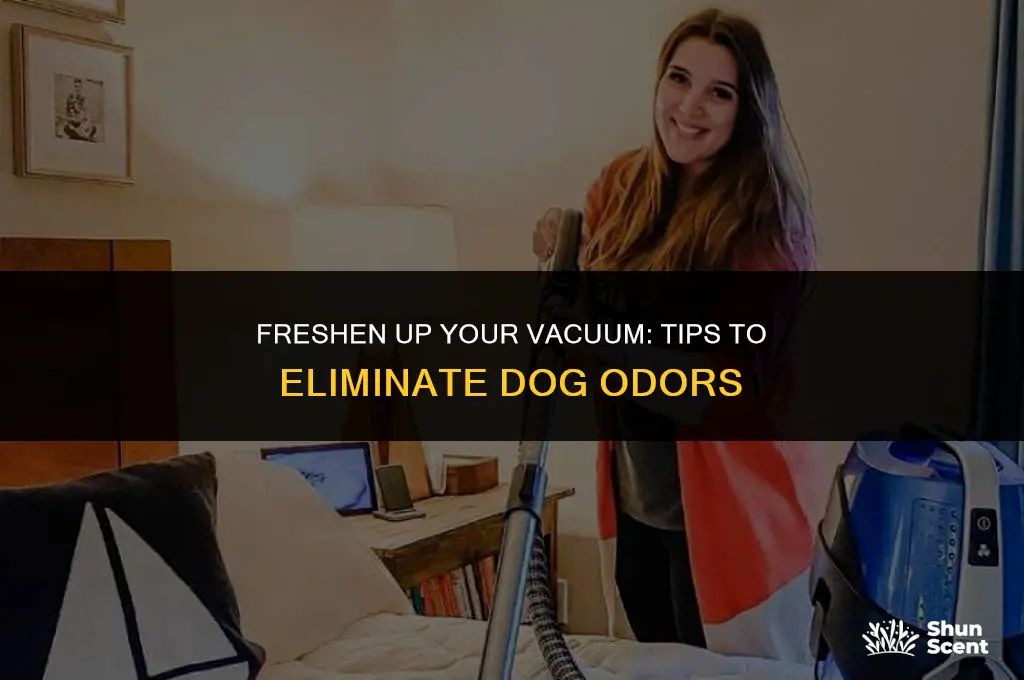 how to keep my vacuum from smelling like dog