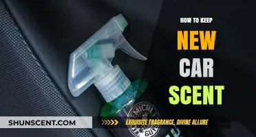 Preserving the Freshness: Tips to Maintain Your New Car Scent