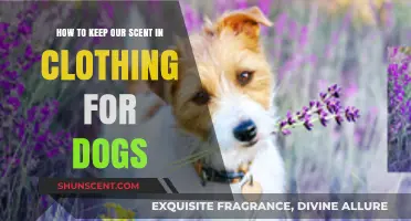 Tips for Preserving Your Scent in Dog Clothing Comfortably