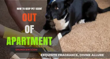 Effective Tips to Eliminate Pet Odors in Your Apartment