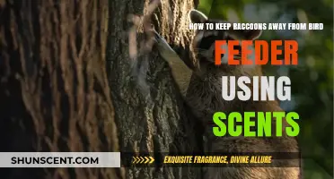 Repel Raccoons Naturally: Scents to Protect Your Bird Feeder