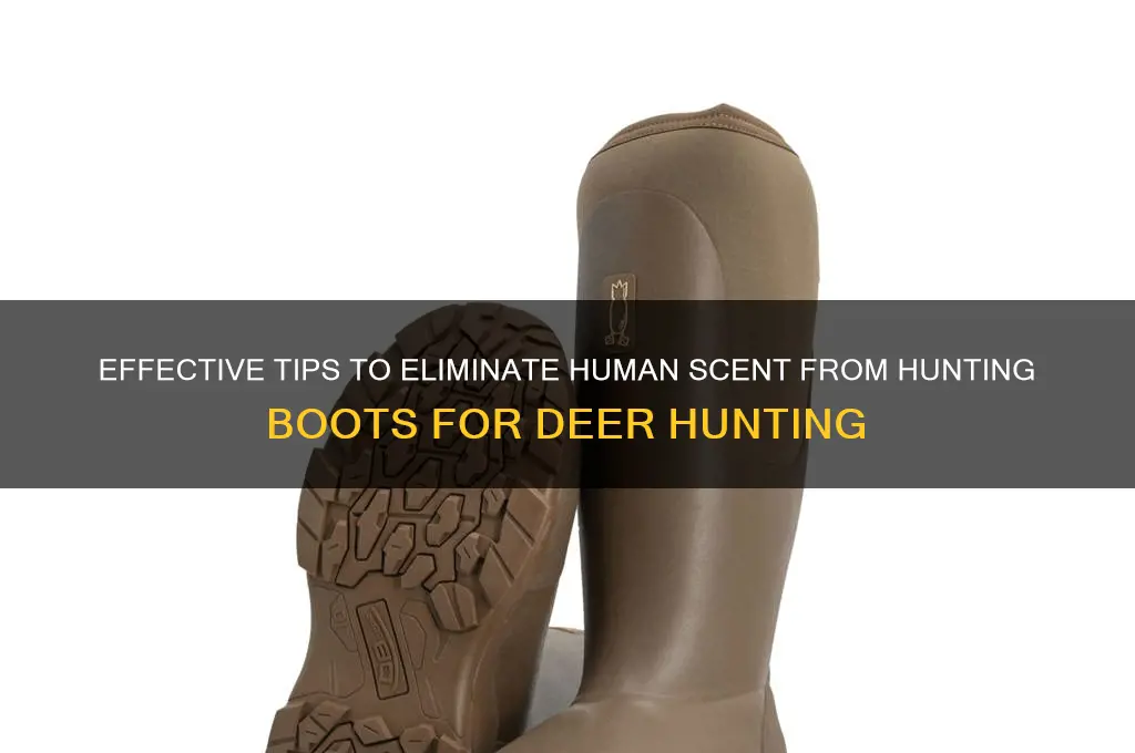 how to keep scent off shoe when deer hunt