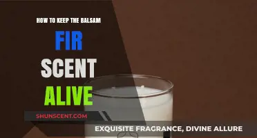 Preserving Balsam Fir Fragrance: Tips to Keep Your Home Smelling Fresh