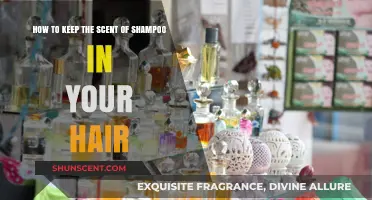 Long-Lasting Freshness: Tips to Keep Shampoo Scent in Your Hair