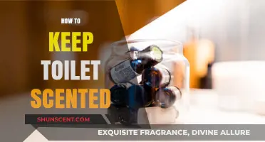 Freshen Up: Simple Tips to Keep Your Toilet Smelling Great