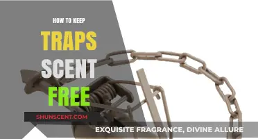 Mastering Scent-Free Traps: Essential Tips for Stealthy Hunting Success