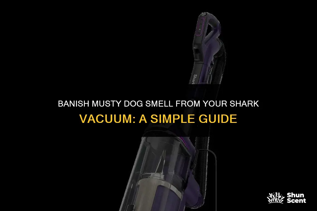 how to kept musty dog smell out of shark vacum