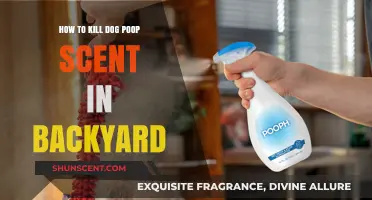 Eliminate Dog Poop Smell: Effective Backyard Odor Removal Tips