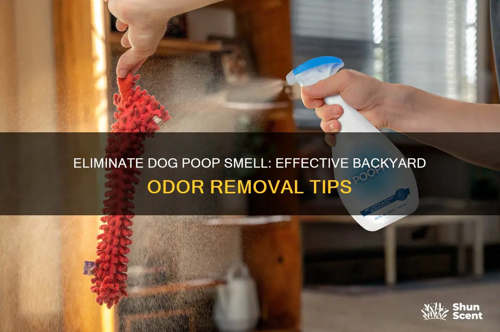 how to kill dog poop scent in backyard