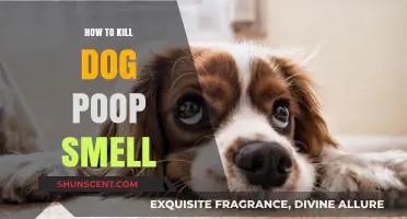 Effective Ways to Eliminate Dog Poop Odor