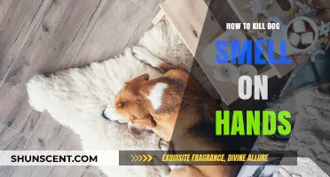 Fresh Hands, Happy Home: Eliminating Dog Odor Naturally