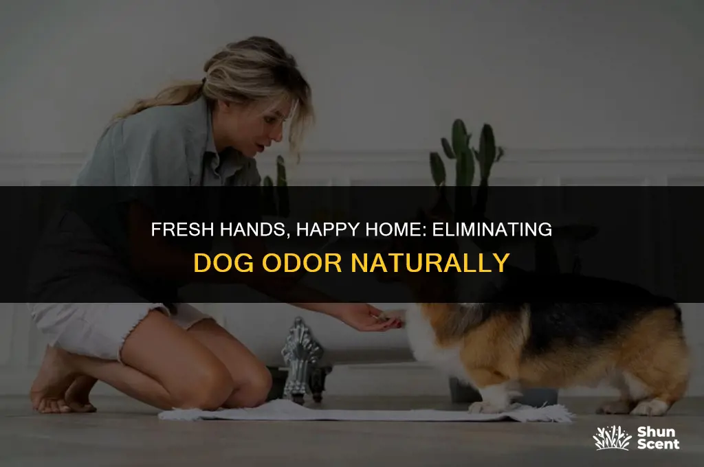 how to kill dog smell on hands