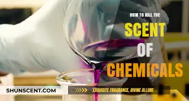 Eliminate Chemical Odors: Effective Ways to Neutralize Harsh Smells Fast