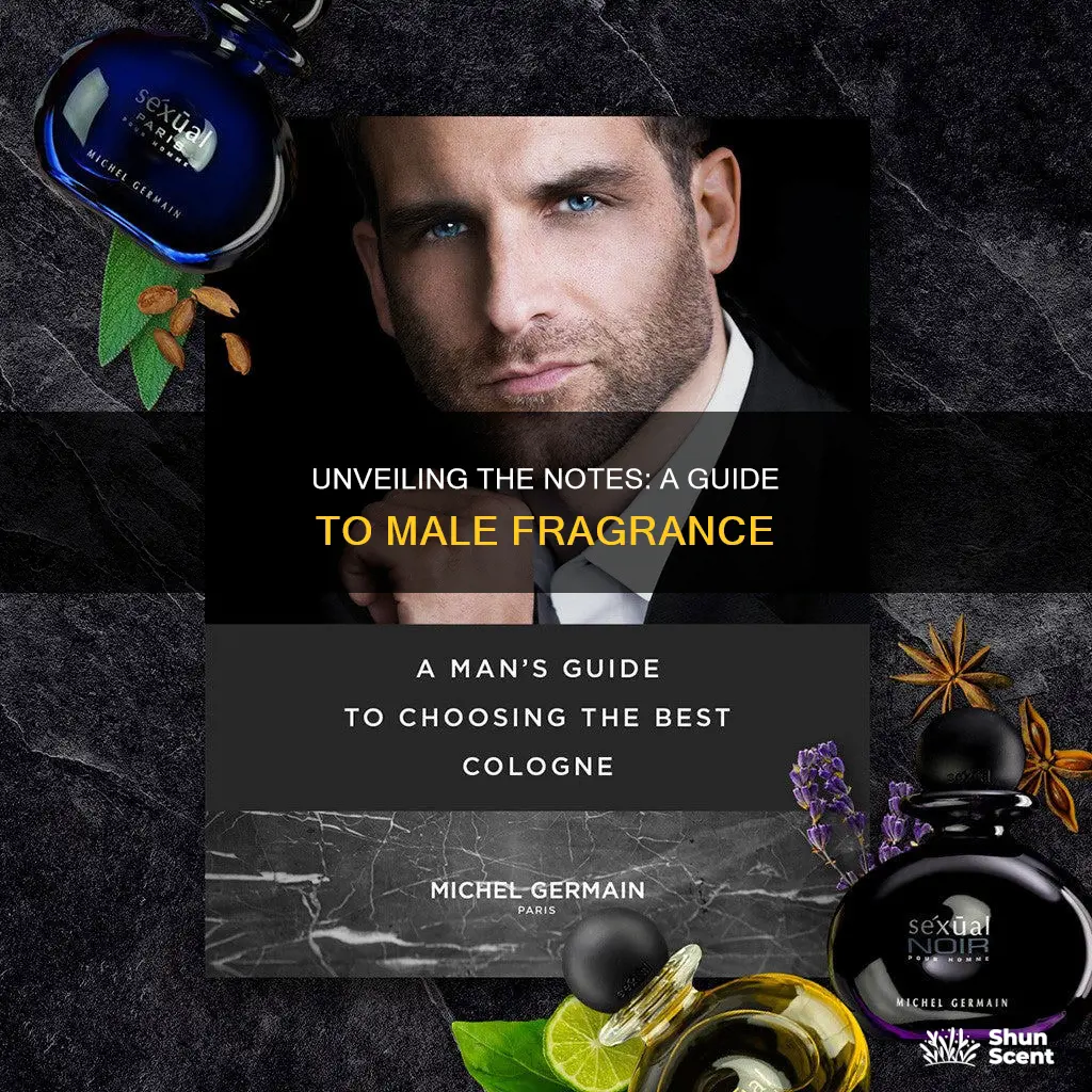 how to know a fragrance is for men