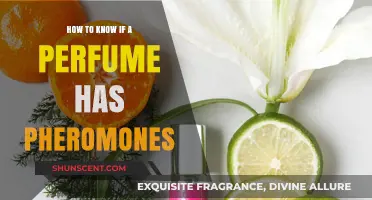 Discovering Pheromones in Perfumes: What You Need to Know