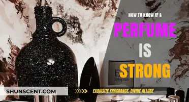 Perfume Strength: How to Know If It's Powerful