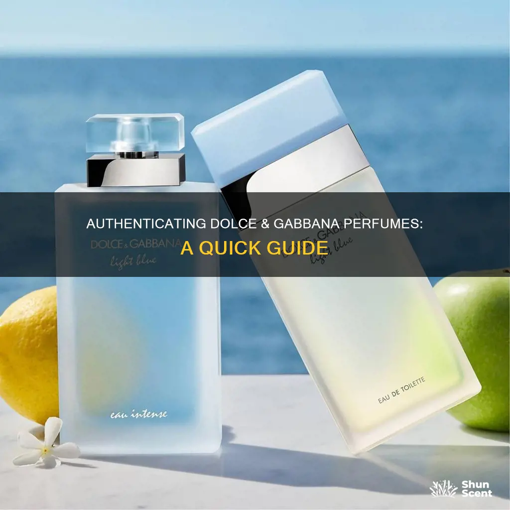 how to know if dolce and gabbana perfume is real