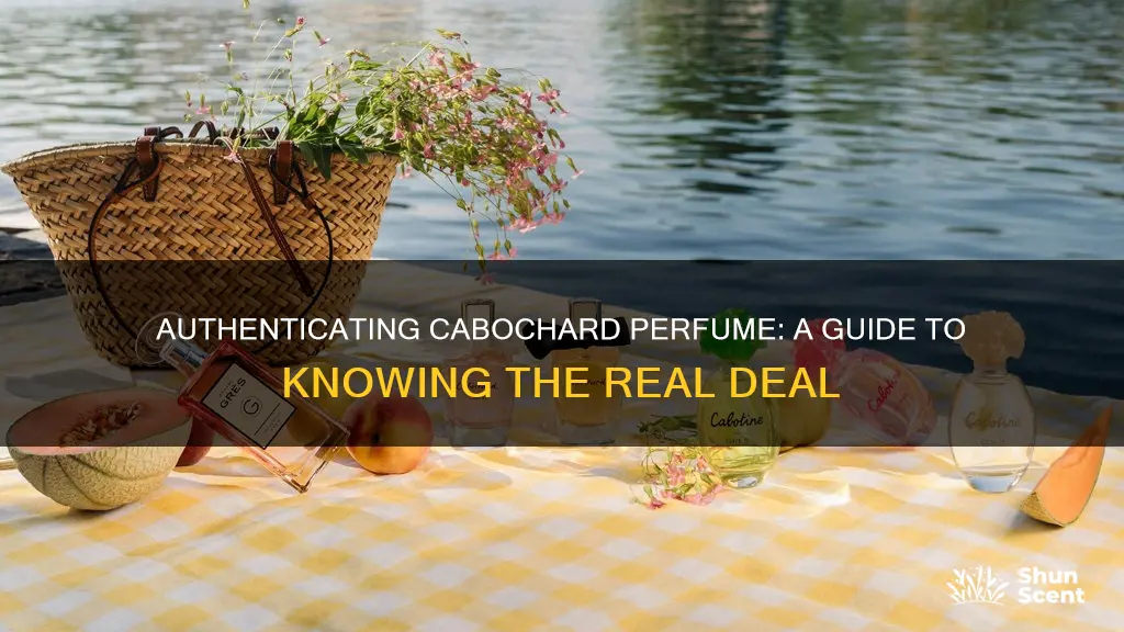 how to know if your cabochard perfume is authentic