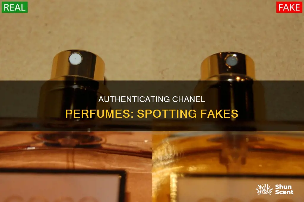 how to know if your coc chanel perfume is real