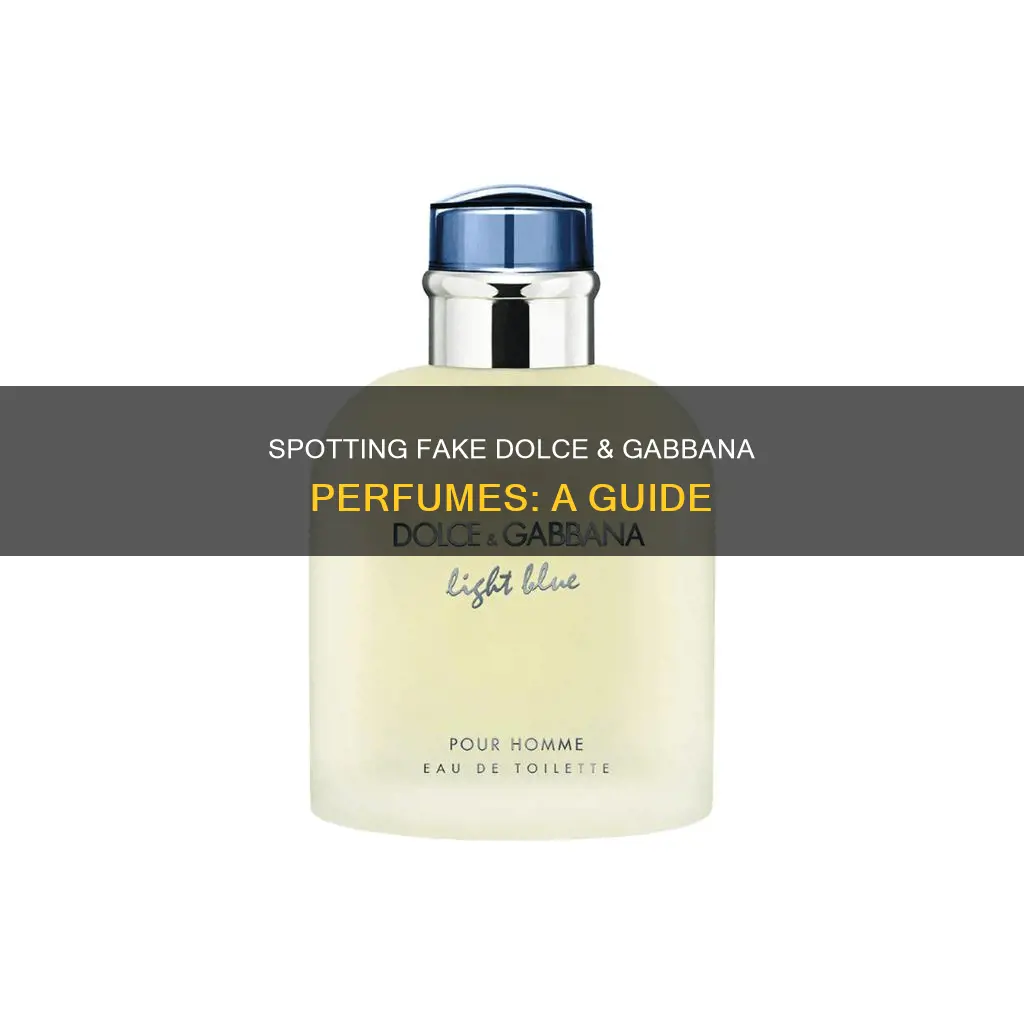 how to know the authenticity of dolce and gabbana perfume
