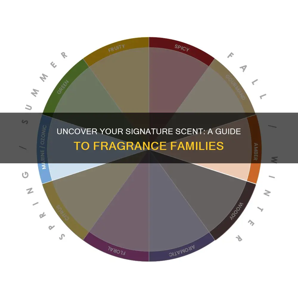 how to know what fragrance family my favorite perfumes are