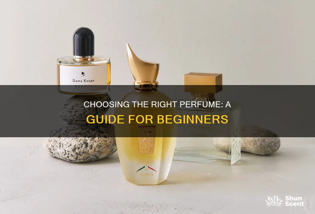 how to know what perfume to buy
