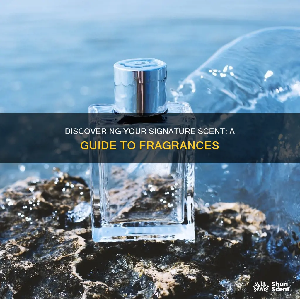 how to know your perfume scent