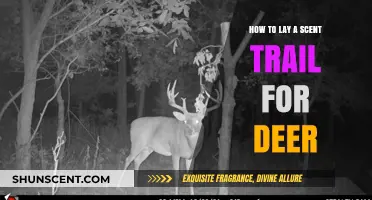 Mastering Deer Hunting: Effective Techniques to Lay Scent Trails