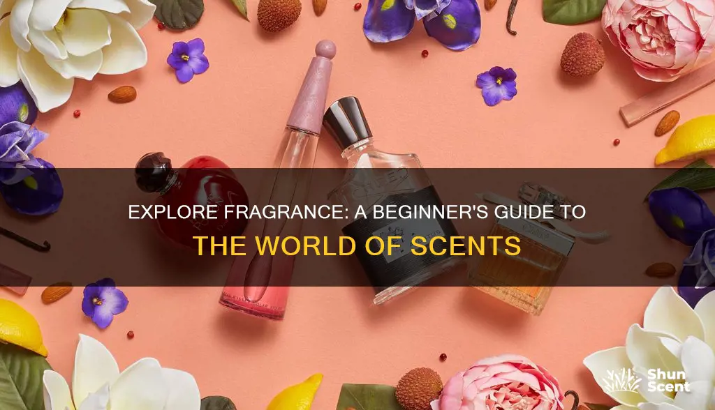 how to learn about fragrance