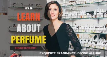 Explore the Art of Perfumes: A Beginner's Guide