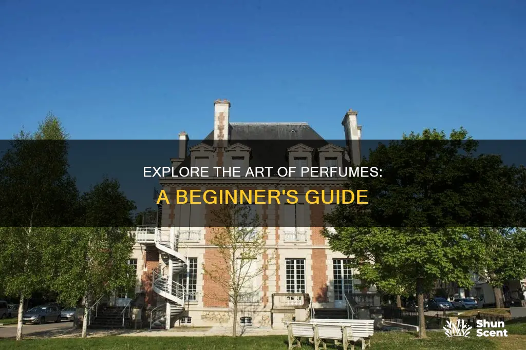 how to learn about perfume