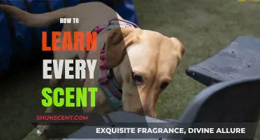 Mastering the Art of Scent Recognition: A Comprehensive Guide
