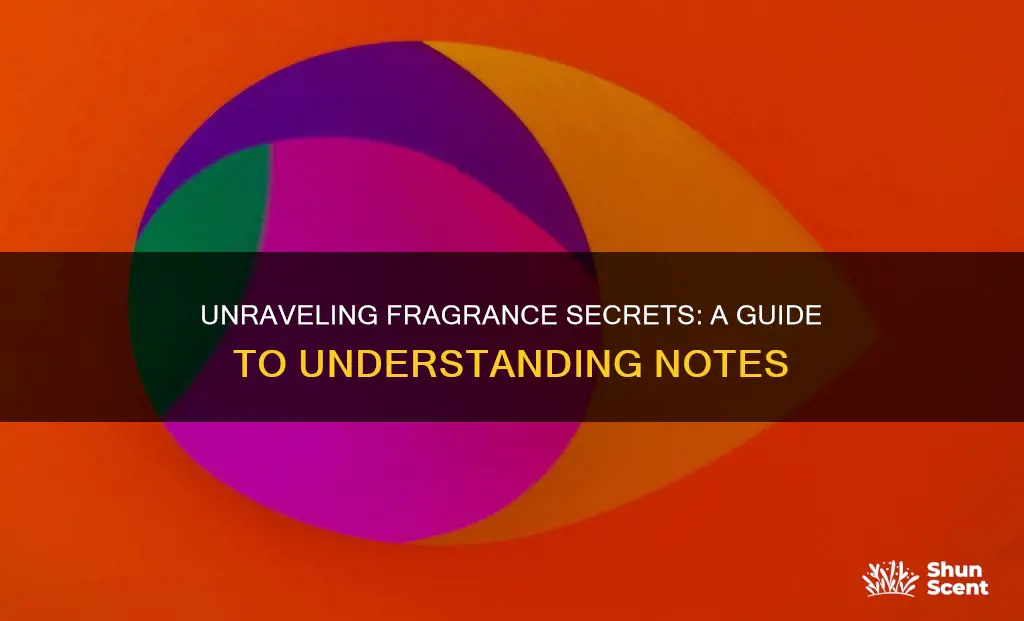 how to learn fragrance notes