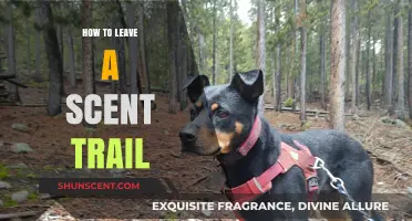 Master the Art of Leaving a Captivating Scent Trail Effortlessly
