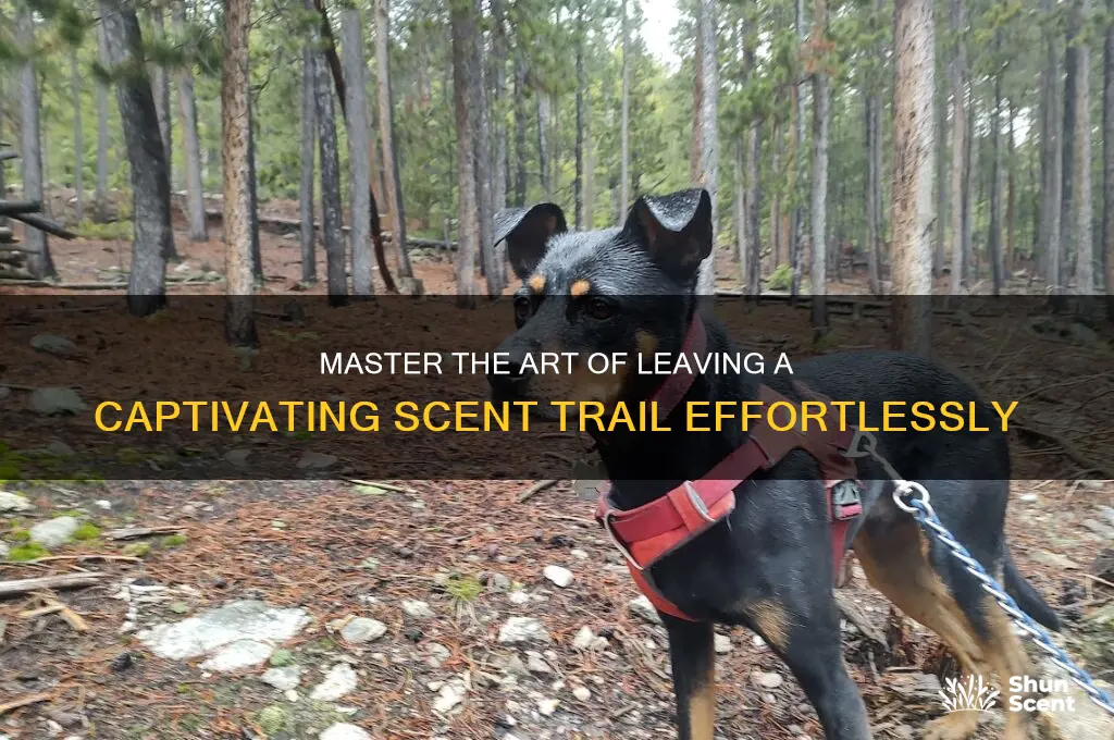 how to leave a scent trail