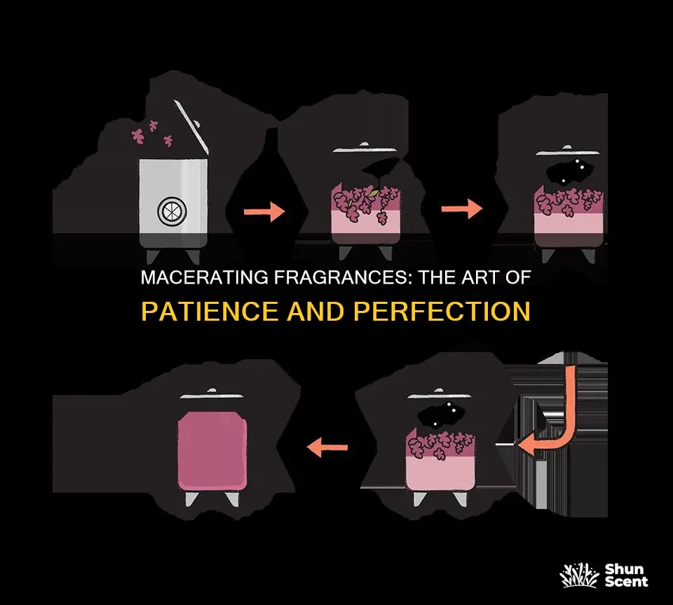 how to let a fragrance macerate