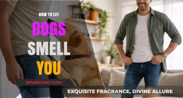 Canine Connections: The Art of Letting Dogs Sniff You