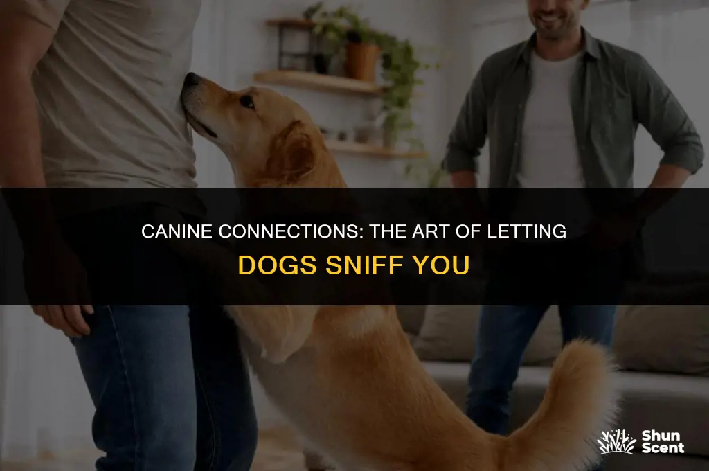 how to let dogs smell you