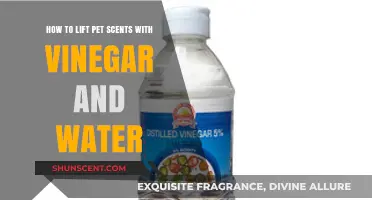Vinegar and Water: A Simple Solution to Eliminate Pet Odors