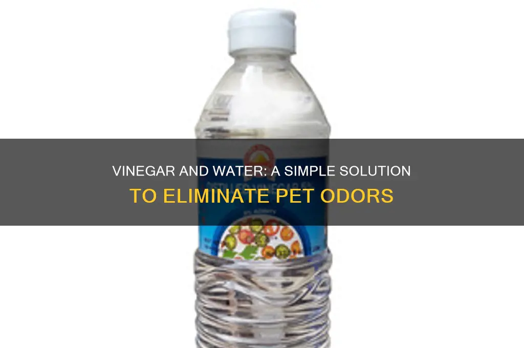 how to lift pet scents with vinegar and water