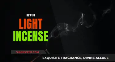 Lighting Incense: A Beginner's Guide to Aromatic Bliss