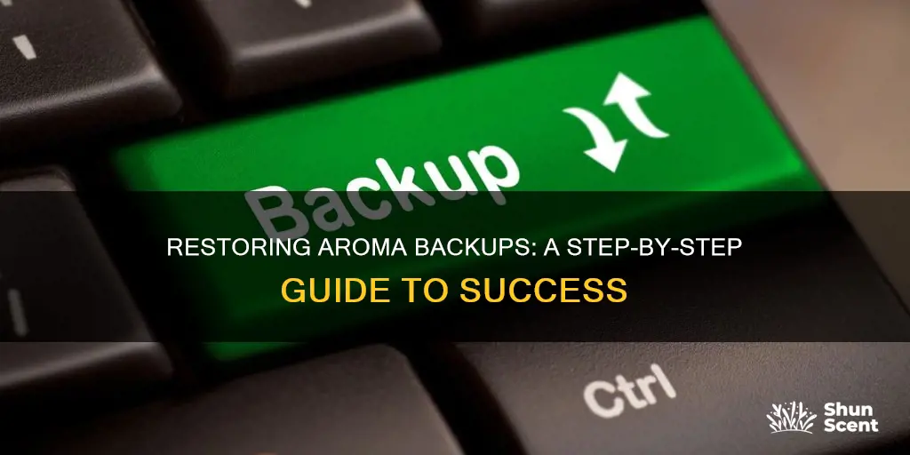 how to load an aroma backup