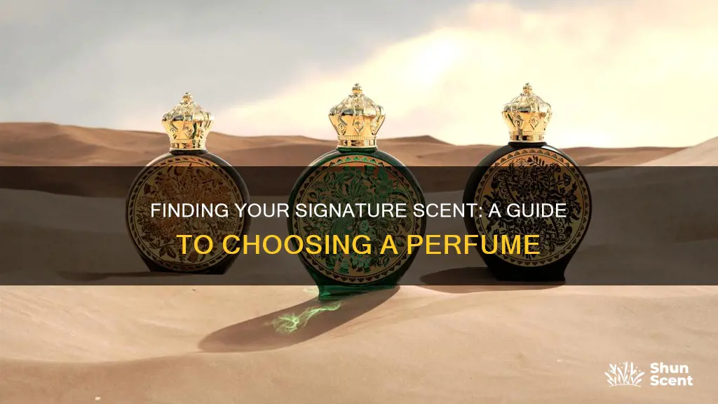 how to look for a new perfume