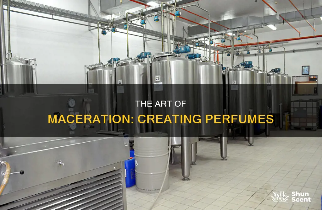 how to macerate perfume