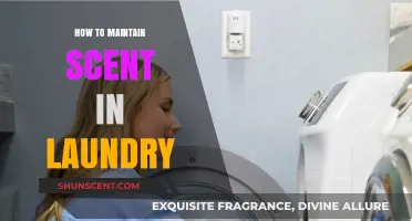 Fresh Laundry Secrets: Tips to Keep Clothes Smelling Great Longer