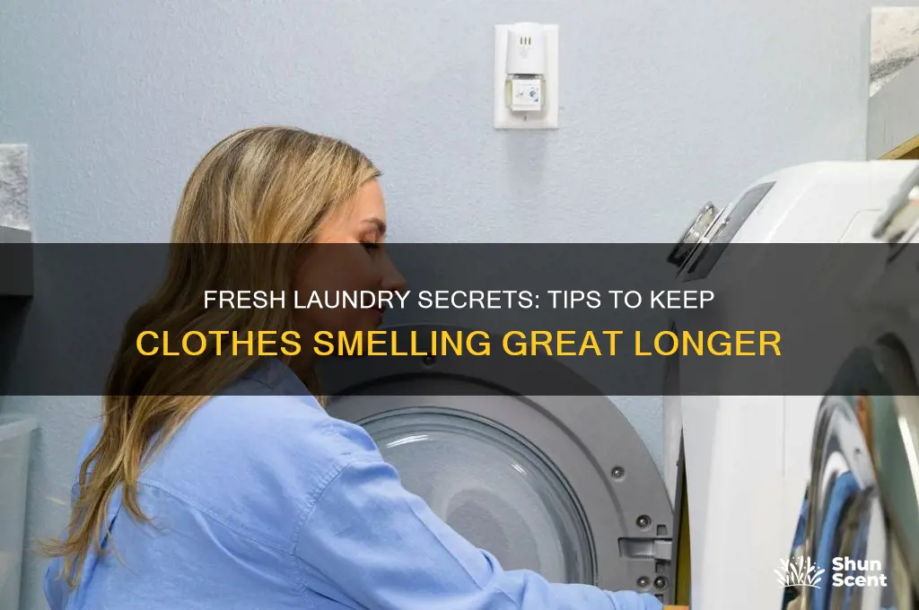 how to maintain scent in laundry